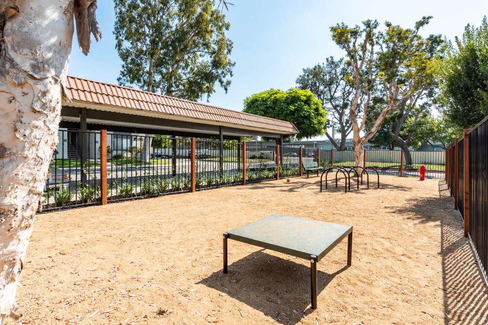 Onsite dog park with training equipment at Sofi Ventura in Ventura, California