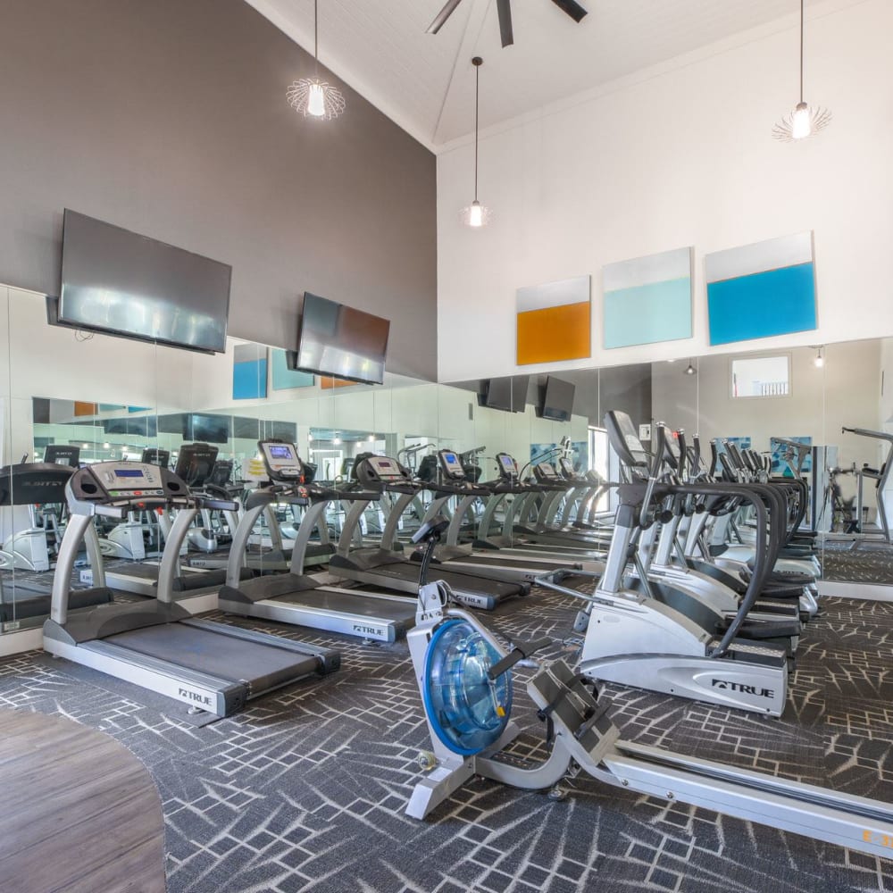 Huge fitness center and machines at Butternut Ridge Apartments in North Olmsted, Ohio