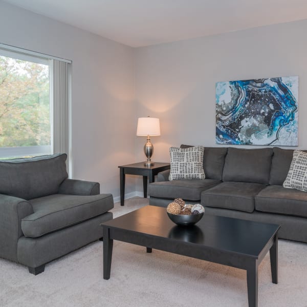 Spacious and cozy living room at Elevations One, Woodbridge, Virginia