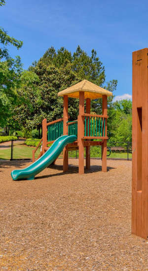 View amenities at Avonlea Towne Lake in Woodstock, Georgia