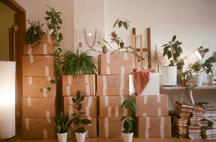 stacked boxes along a wall with books and plants included on top of boxes
