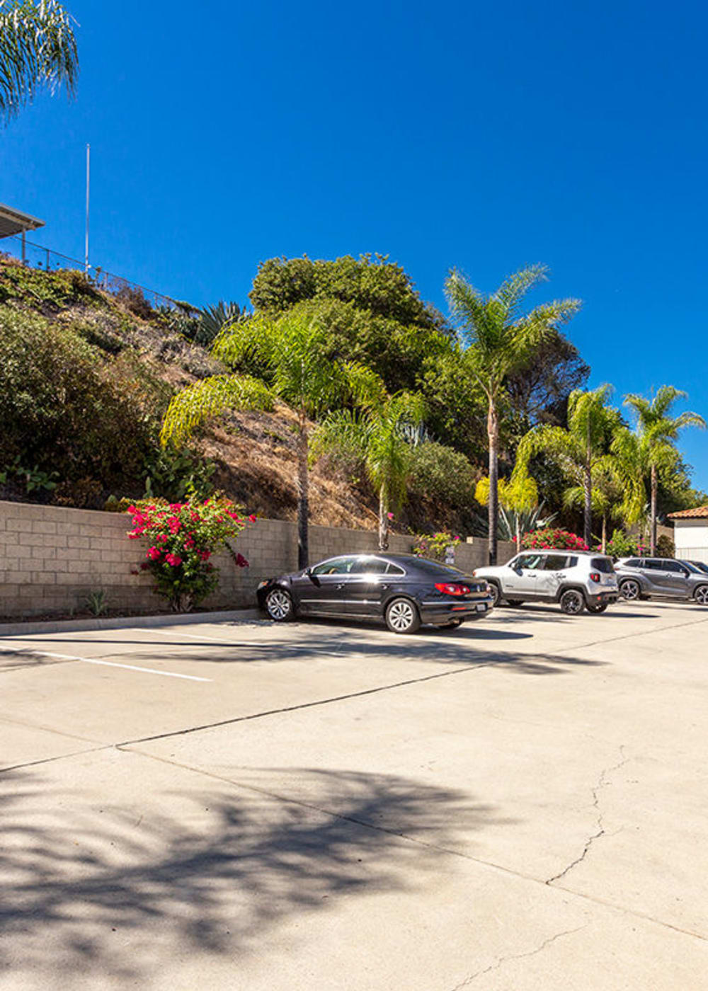 Apartments in La Mesa, CA Jackson 23 Apartments