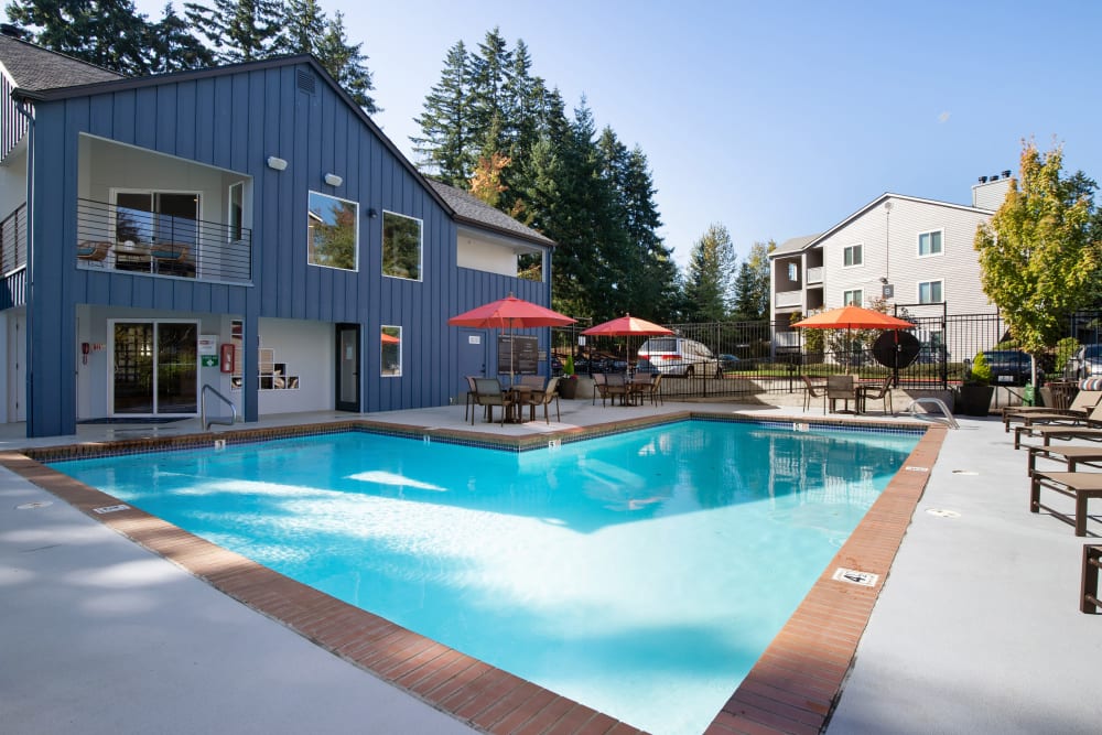 Swimming pool area with shaded chaise lounge chairs nearby at Sofi Lakeside in Everett, Washington