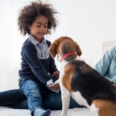 Child playing with dog at North Severn Village in Annapolis, Marylandl