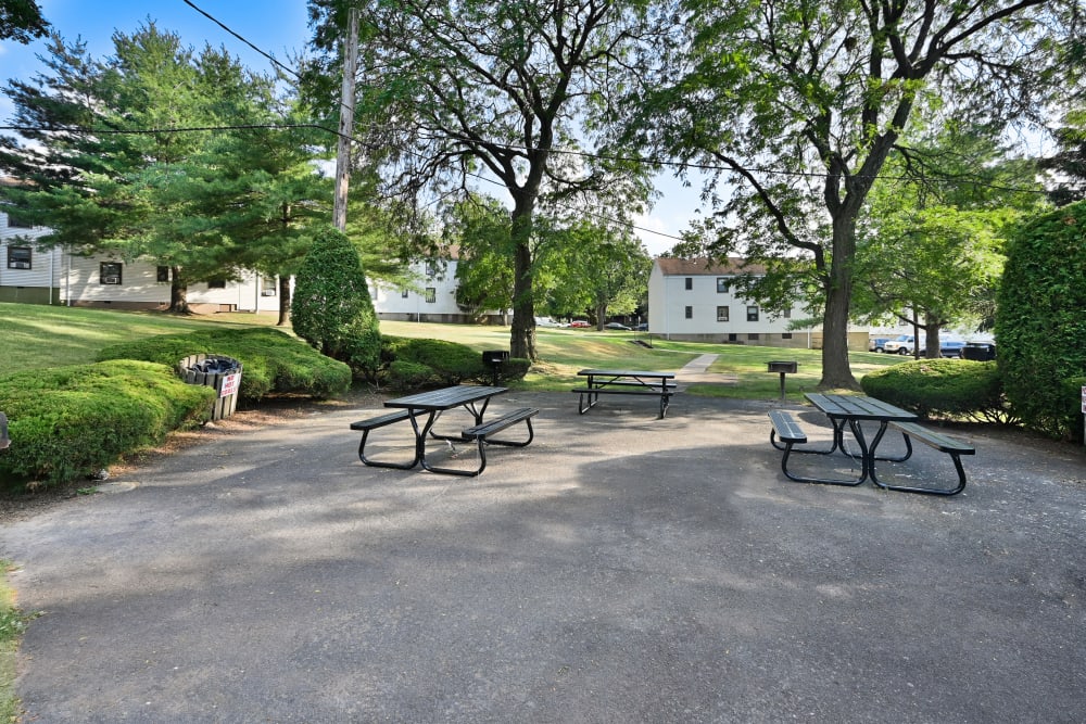 Picnic Area at Richfield Village Apartments in Clifton, New Jersey