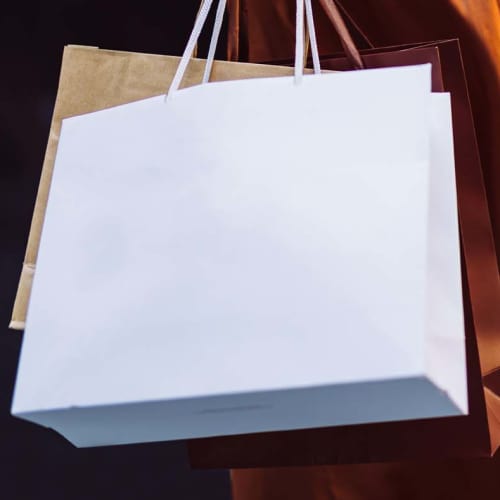 Shopping bags near Blackhawk Commons in Sheridan, Indiana