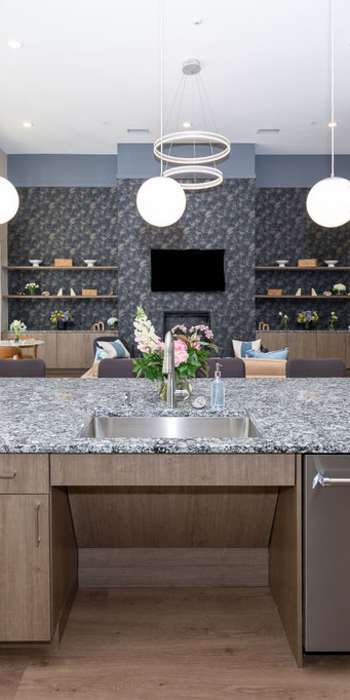 Kitchen Counter View with Stylish Finishes at Springhouse Square in Charlotte, North Carolina.