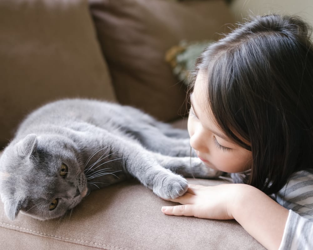 Child and her cat sitting on a couch at Oakwood Apartments in West Carrollton, Ohio