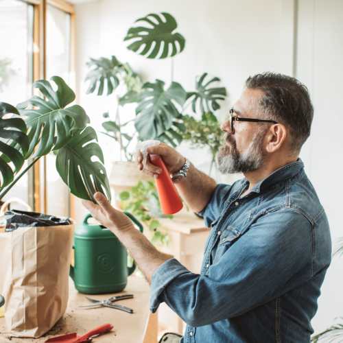 Resident taking care of plants in his living room at The Overlook at Keystone Canyon in Reno, Nevada