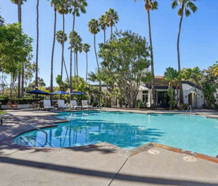 Outdoor pool with lounge chairs and palm trees at Rancho Del Mar in San Clemente, California