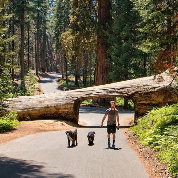Jordan Kahana Sequoia National Park, CA