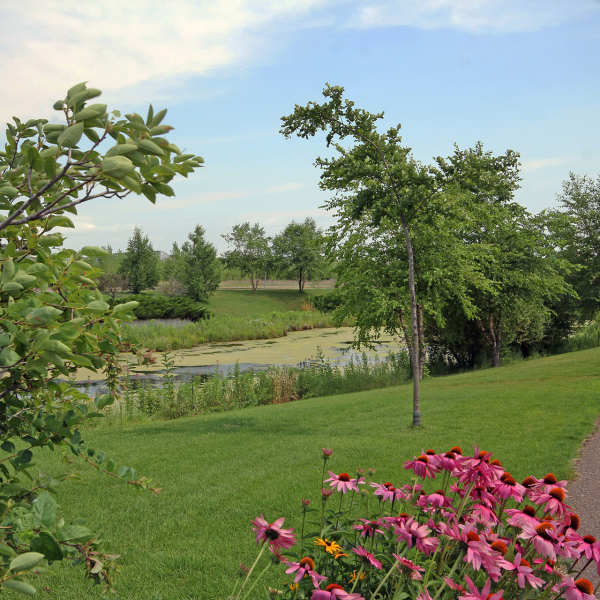 Explore the neighborhood around Parkview East in Ramsey, Minnesota