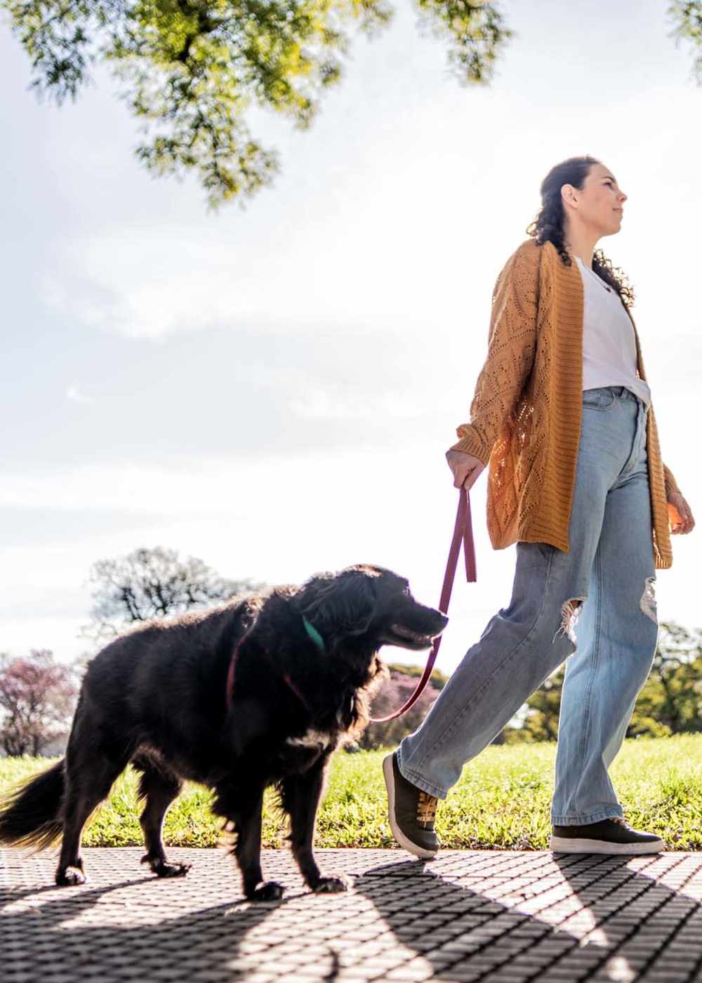 Resident walking her pet dog in a park near Palisades Sierra Del Oro in Corona, California   