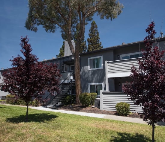 Plum Tree Apartment homes, a sister property to Ridgecrest Apartment Homes in Martinez, California