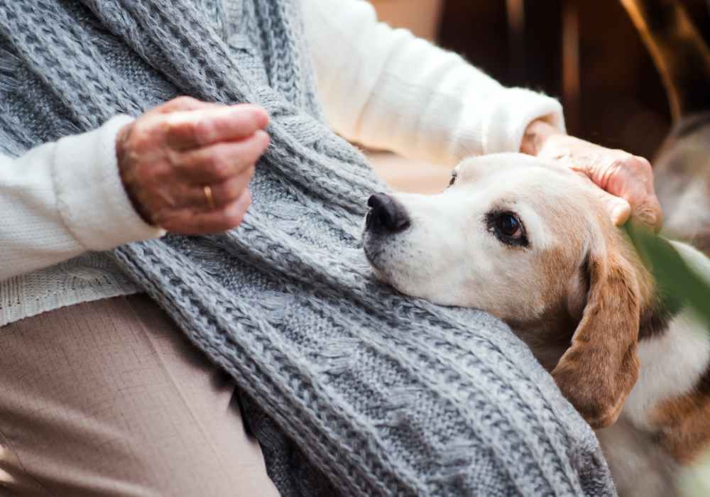 Resident petting her pet dog at UCA Apartment Homes in Fullerton, California