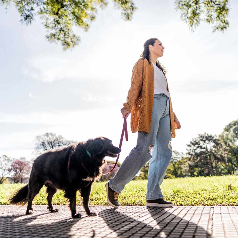 Resident and her pet walking at park near Stonegate at the Crossroads in Zion Crossroads, Virginia