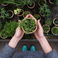 Resident holding one of her thriving plants on the private balcony outside her apartment at Hall Street Flats in Dallas, Texas
