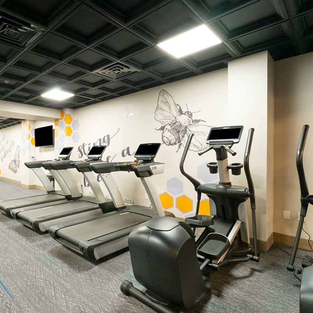 Fitness center featuring treadmills, ellipticals, and motivational wall art in a modern design at Flats on Fifth in Louisville, Kentucky