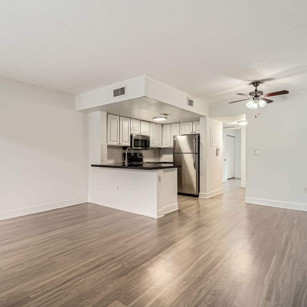 Apartments at Ludlam Point in Miami, Florida