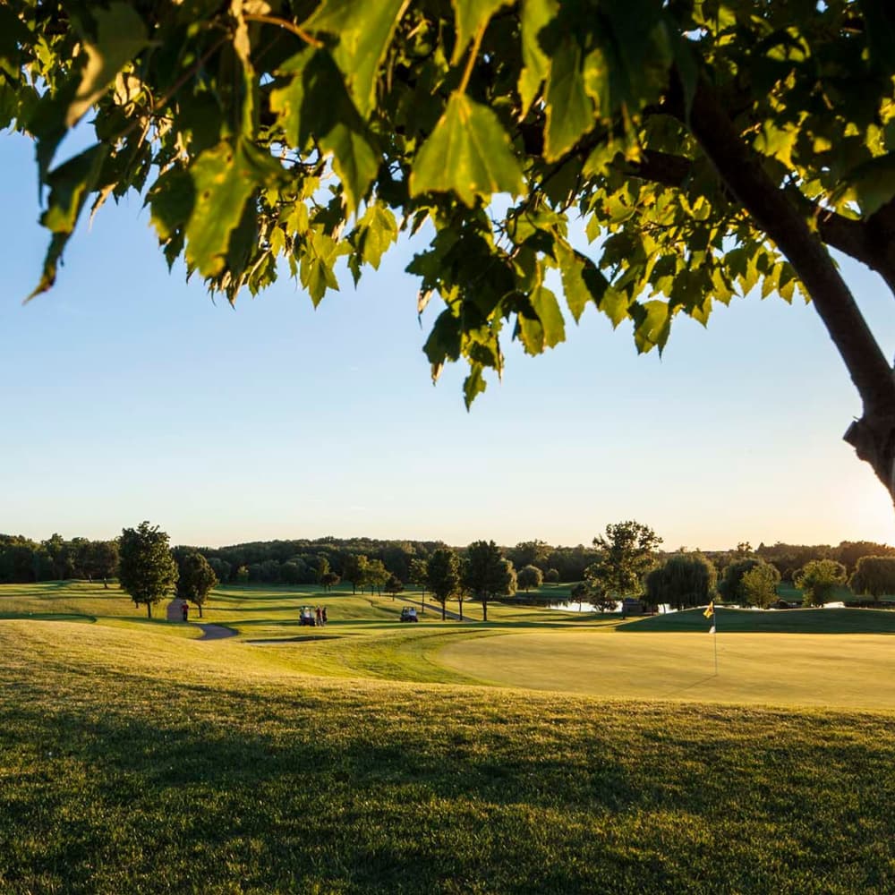 Golf club and golf balls at Singh Golf facilities