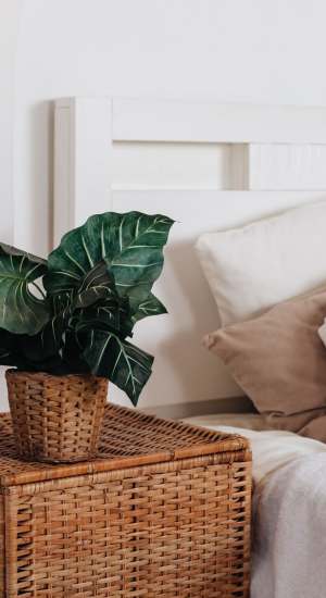 View floor plans at Burnett Place Apartments in Taylor, Texas