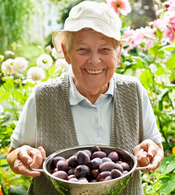 Lady with a strainer full of apricots in the garden at The Retreat at Loganville in Loganville, Georgia