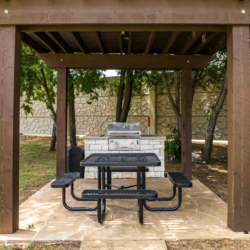 Grilling area at Lakes At Lewisville in Lewisville, Texas 