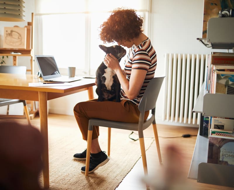 Resident and her pup getting some work done in their home office at 505 West Apartment Homes in Tempe, Arizona