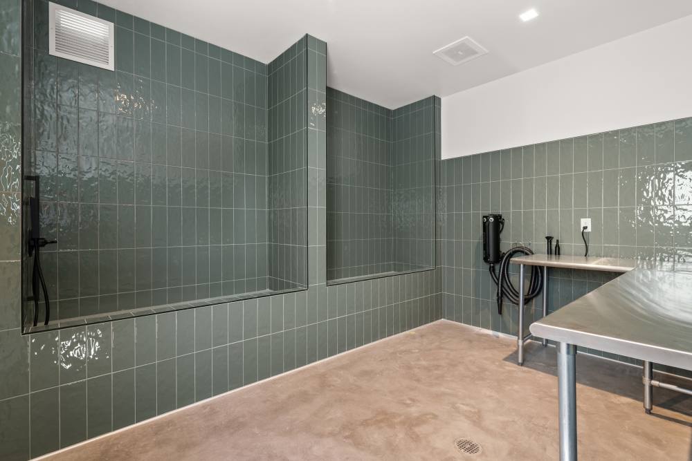A modern pet grooming area with shower and stainless steel tables at Broadstone Villas in Folsom, California