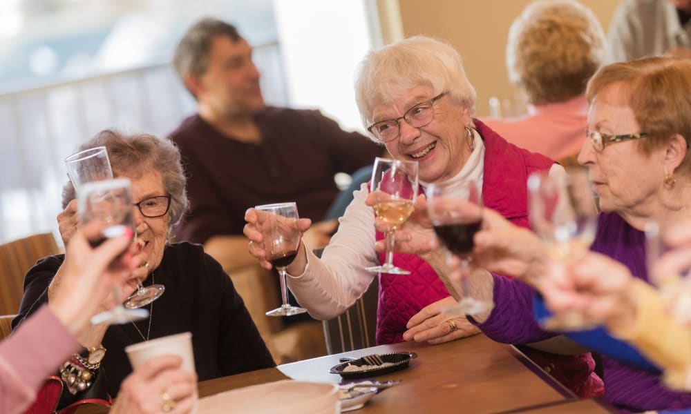 seniors toasting glasses during a meal