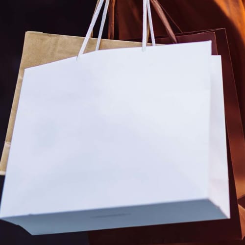 Shopping bags near Holley Pointe in Portsmouth, Virginia