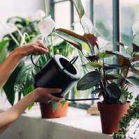 Resident watering one of her thriving plants at Helios in Richmond, Virginia