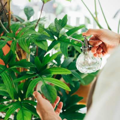 Watering plants at Sand Pebble and Spanish Oaks in Sparks, Nevada