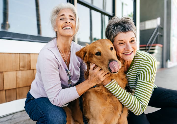 Elderly female couple with dog