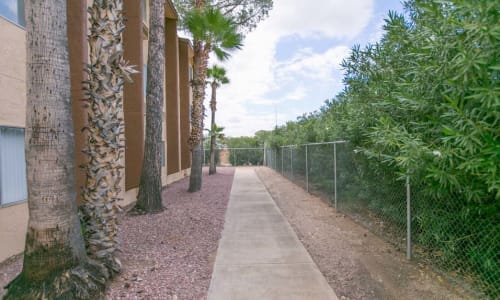 Community Walking Trails at Sherwood Village Assisted Living & Memory Care in Tucson, Arizona