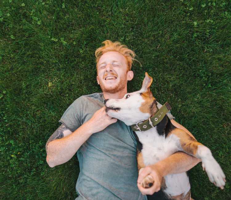 A happy dog at Valley View Estates in Council Bluffs, Iowa