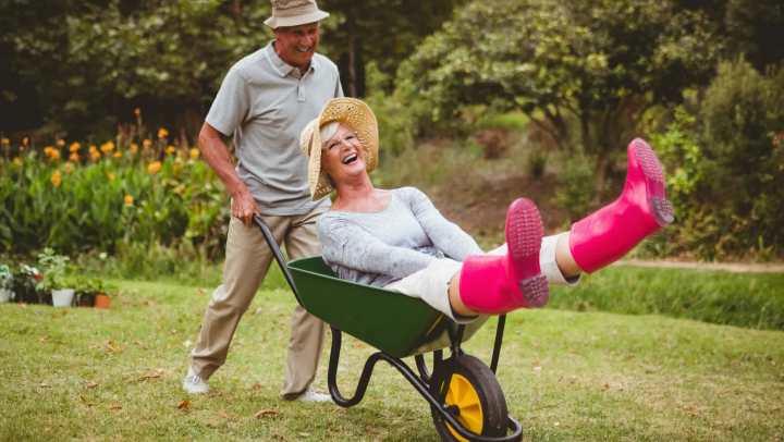 Senior adult man playfully pushing senior adult woman seated in a wheelbarrow