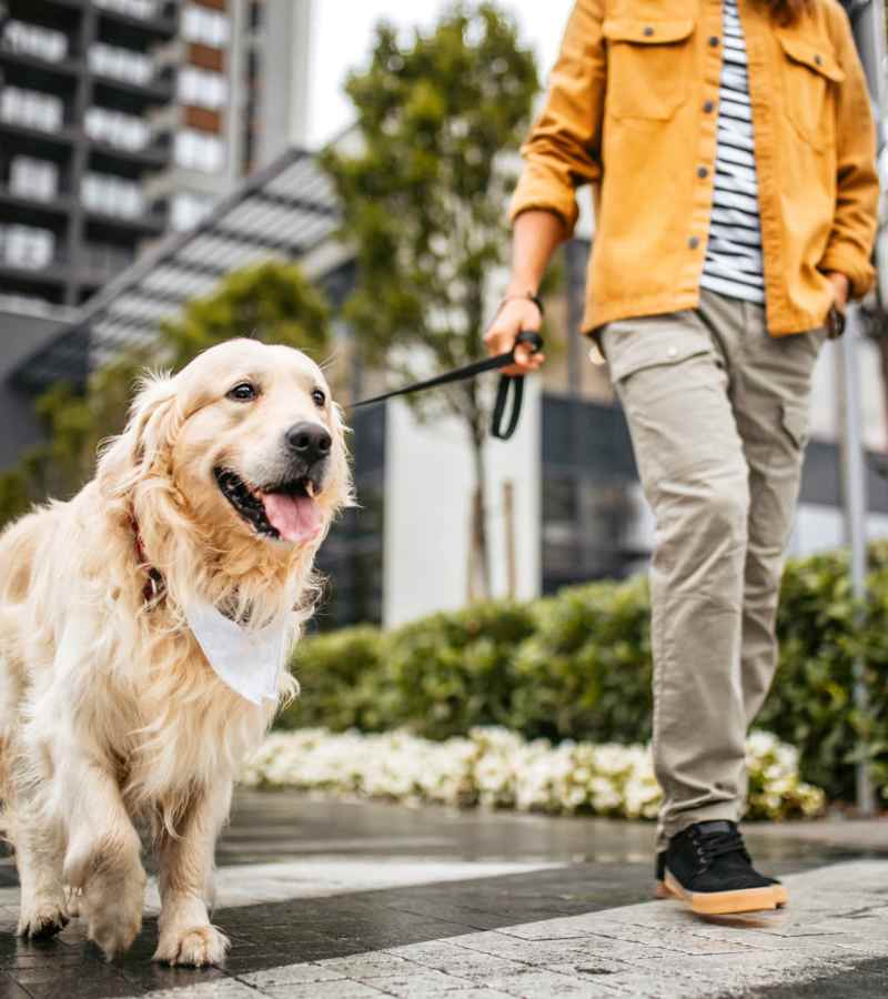 Resident walking with his dog at The Summit At Metrowest in Orlando, Florida