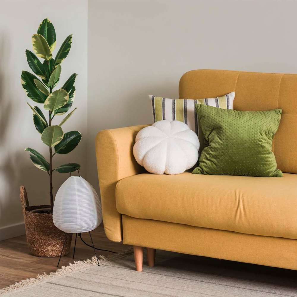 Spacious living area of an apartment home with lively plant at Fox Chase Apartments in Fredericksburg, Virginia