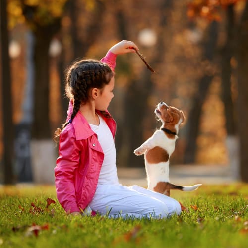 Resident child and her puppy playing outside their new home at Olympus at Daybreak in South Jordan, Utah