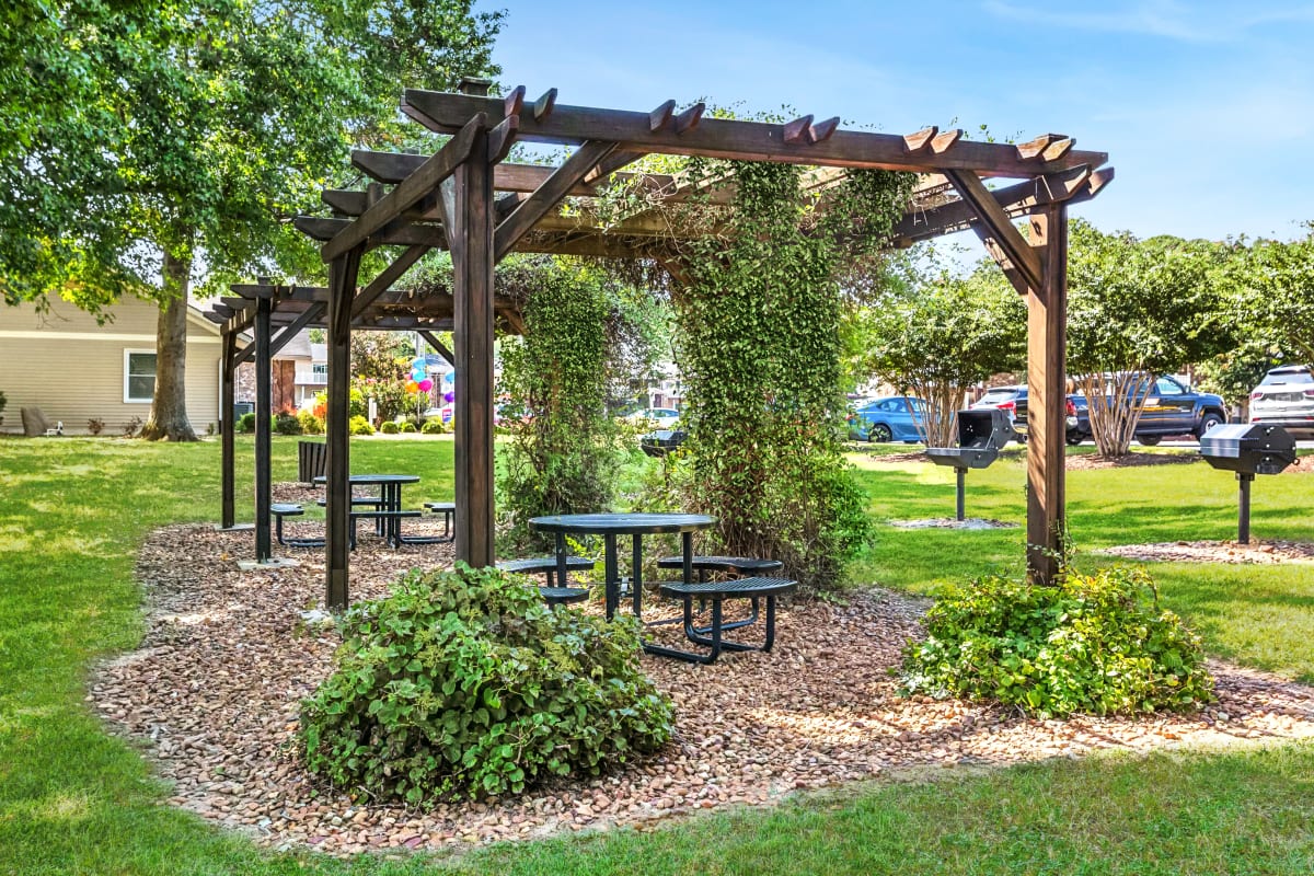 Outdoor picnic and grilling area at Ashford Place in Clarksville, Tennessee