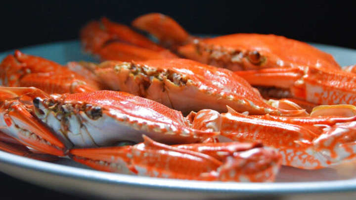 Fresh crab near {{location_name}}, {{location_city}}, {{location_state_name}}