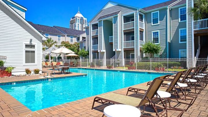 Salt water swimming pool surrounded by palm trees at {{location_name}}, {{location_city}}, {{location_state_name}}