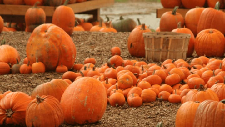 Spence Crossing is at the heart of Fall Fun {{location_name}}, {{location_city}}, {{location_state_name}}