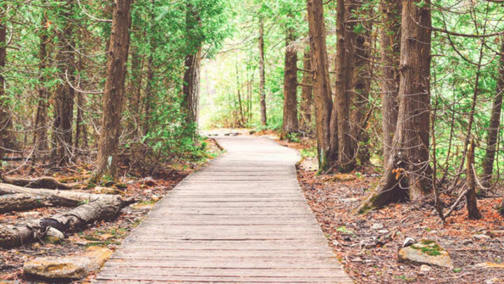 Explore the scenic hiking trails {{location_name}}, {{location_city}}, {{location_state_name}}