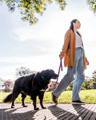 A local resident takes her dog for a walk in the nearby park near Creekside Villas at Clear Lake Apartments in Houston, Texas