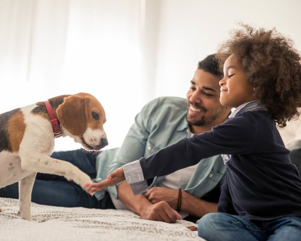 Father and daughter teaching their puppy to shake in their apartment at Olympus Auburn Lakes in Spring, Texas