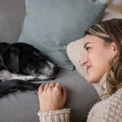 Pet friendly at Milwee Street Apartments in Houston, Texas