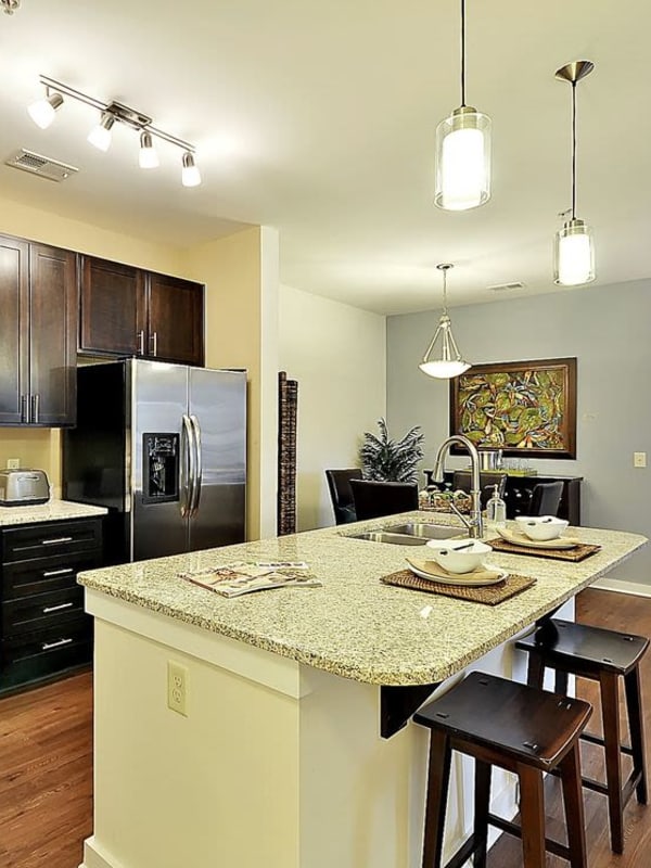 Kitchen with stainless-steel appliances and pendant lighting at Bees Ferry in Charleston, South Carolina