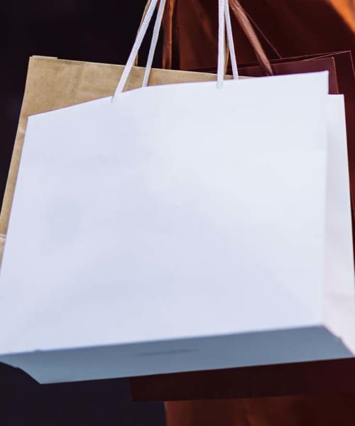 Shopping bags near Harpers Crossing in Plainfield, Indiana